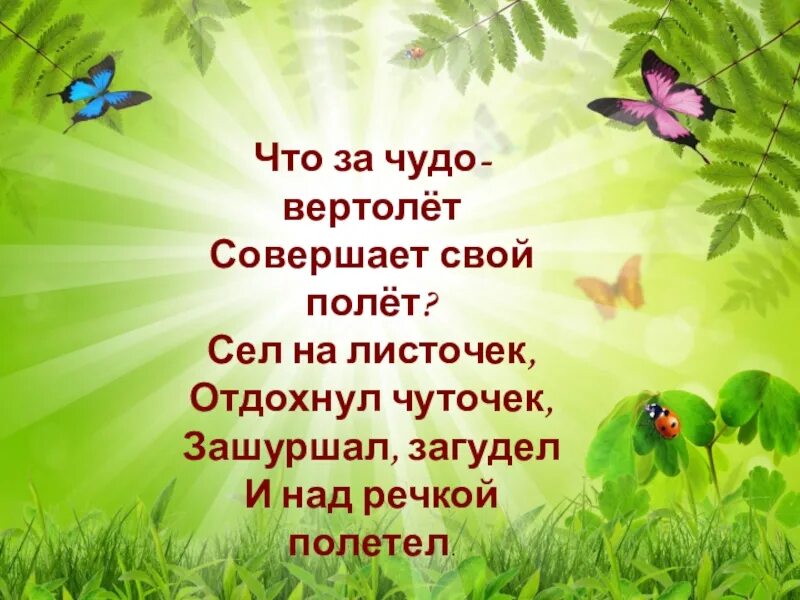 Что за чудо вертолет совершает. As355 utair. Вертолет с машинкой. Что за чудо вертолет совершает. Красивые вертолеты.