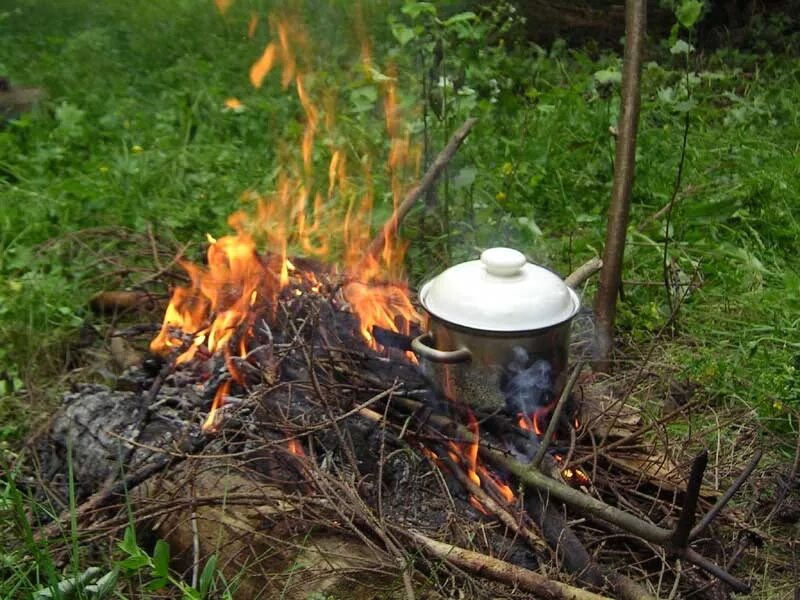 Пикник у костра. Поход костер. Пикник на природе с костром. Маленький костер. Пикник костер