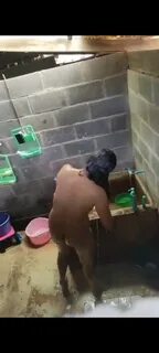 Guarda ngintip tetangga mandi video 6 su ThisVid, il sito di HD tube con la...