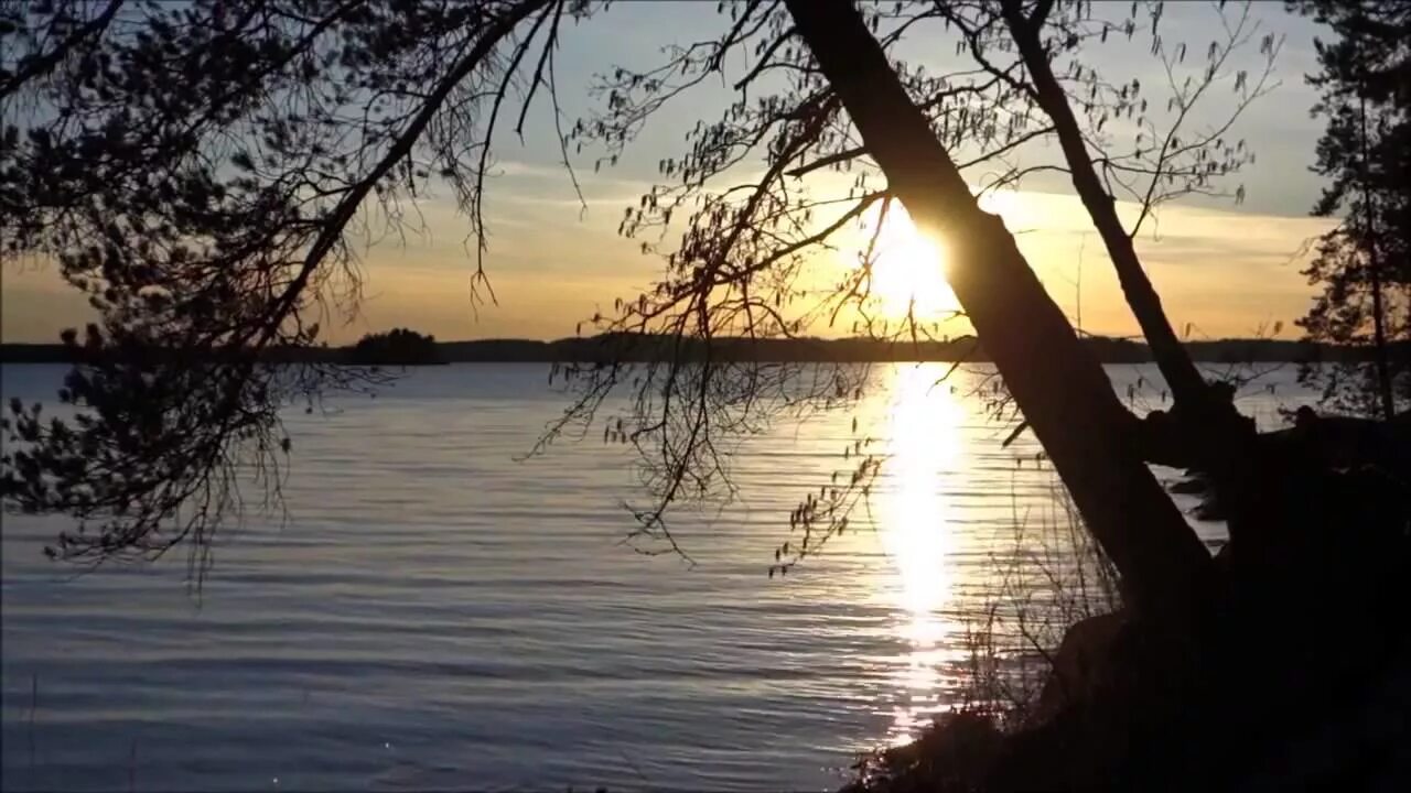 Ладонщиков хорошо у нас в лесу. На разных берегах. Река любви. Мы с тобой два берега у одной реки. Два берега одной реки.