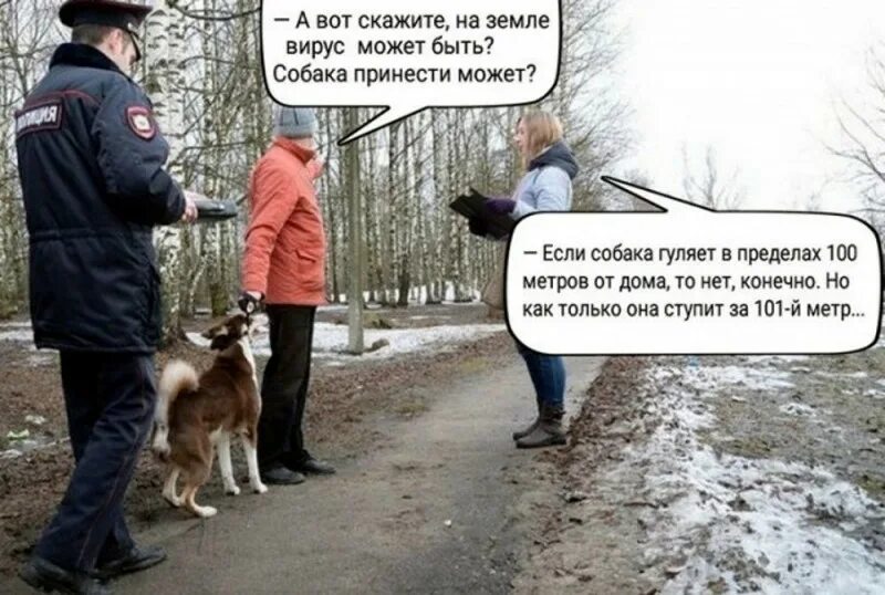 Шуток нет. Смешные злободневные картинки. шуток нет статусы злободневно.