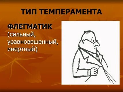 Меланхолик слабый неуравновешенный инертный