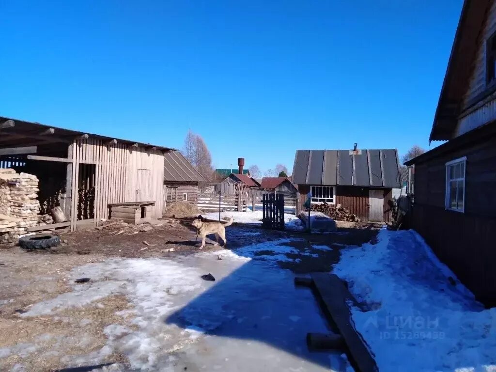 Деревня воробьево вологодская область сокольский район фото Дюрбениха
