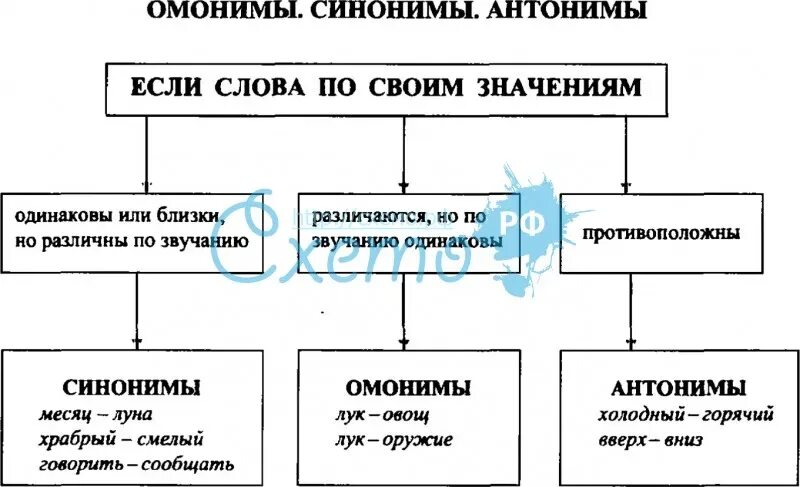 Контроль и определение направления это синонимы. Синонимы антонимы омонимы. Таблица синонимы антонимы омонимы. Синонимы антонимы таблица. Синонимы антонимы омонимы фразеологизмы.