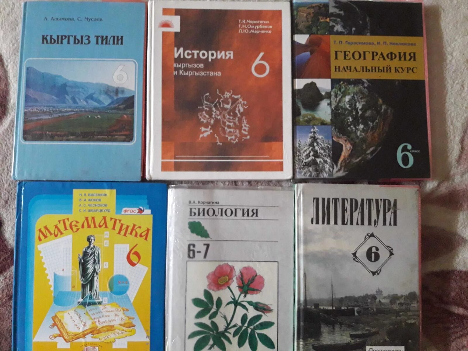 Книги 2 класс кыргызский. Книги 5 класса кыргызский. Кыргызский адабият 6 класс. Книги 4 классе в Бишкеке.