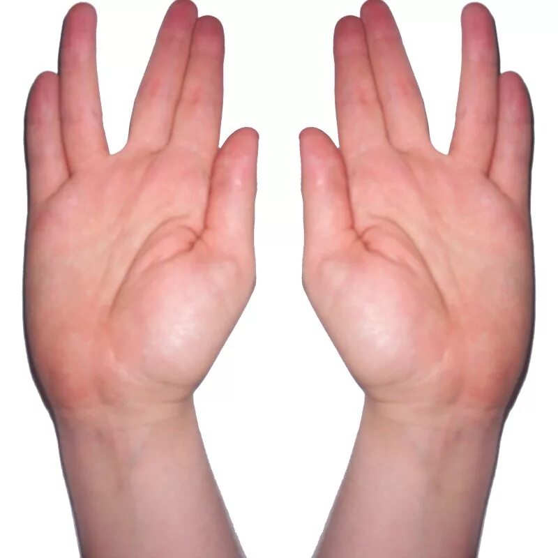 2 2 четыре пальца. Жест иудейских жрецов Коэнов. Ладонь. Знаки пальцами. Средний и безымянный палец.