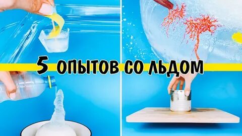 Опыты быстротекущей жизни