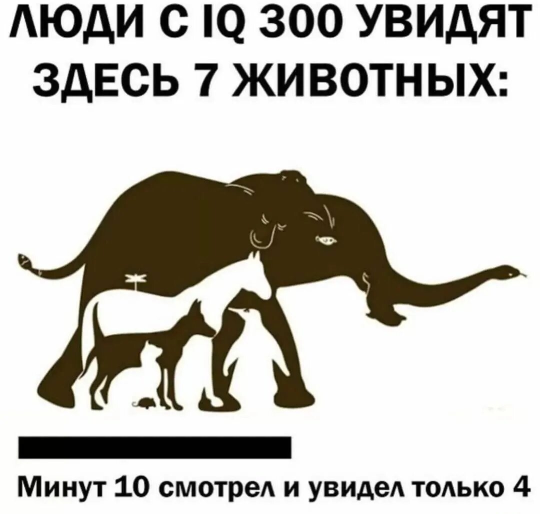 Тут вижу тут не вижу