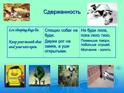 Пословицы рот