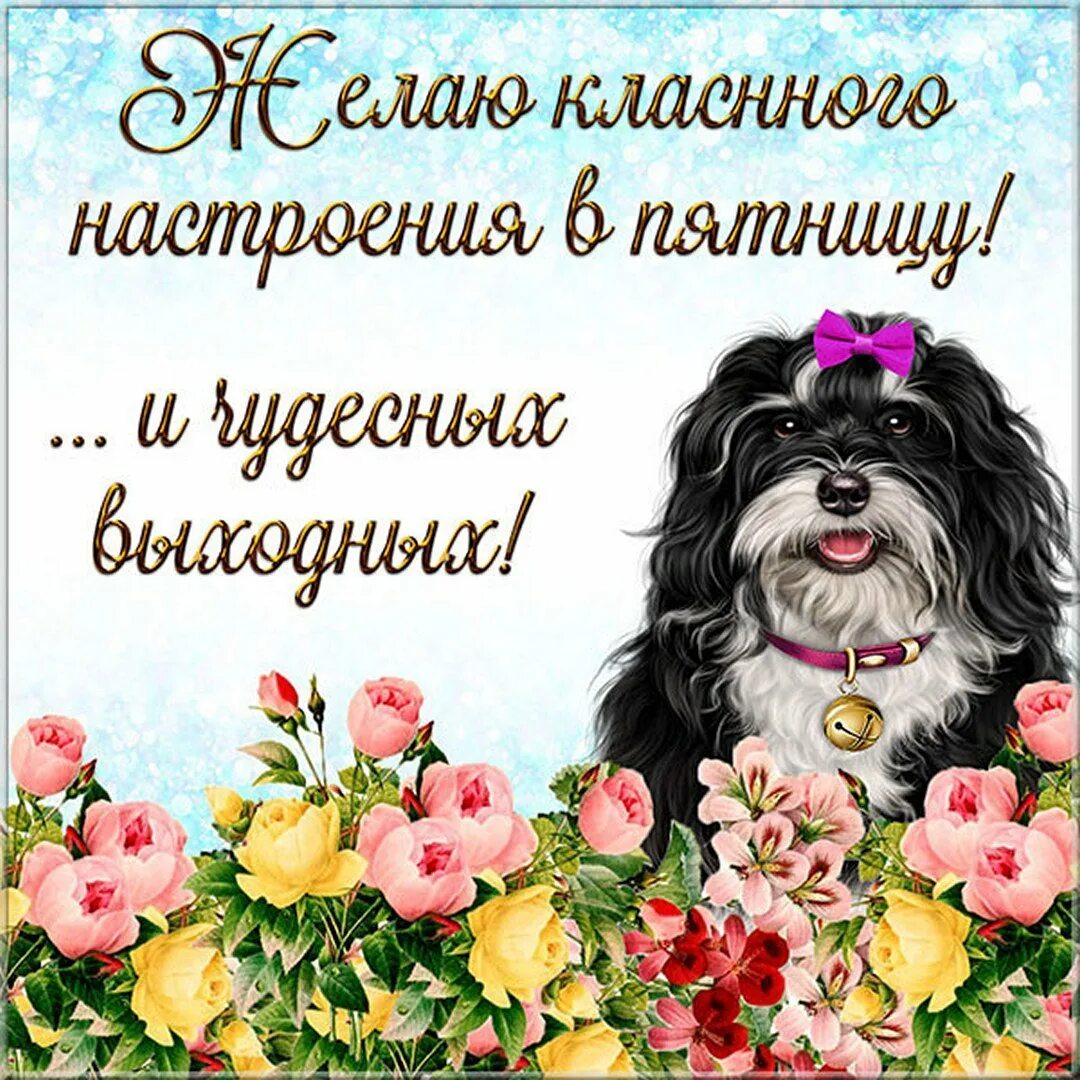 Прекрасных выходных прикольные