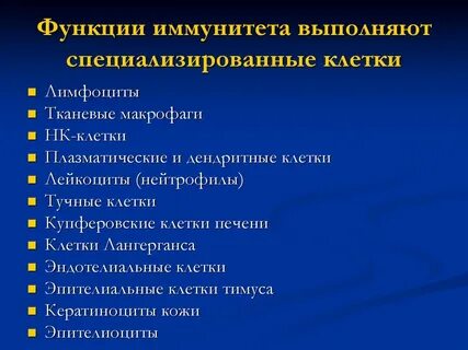Основные функции иммунной системы