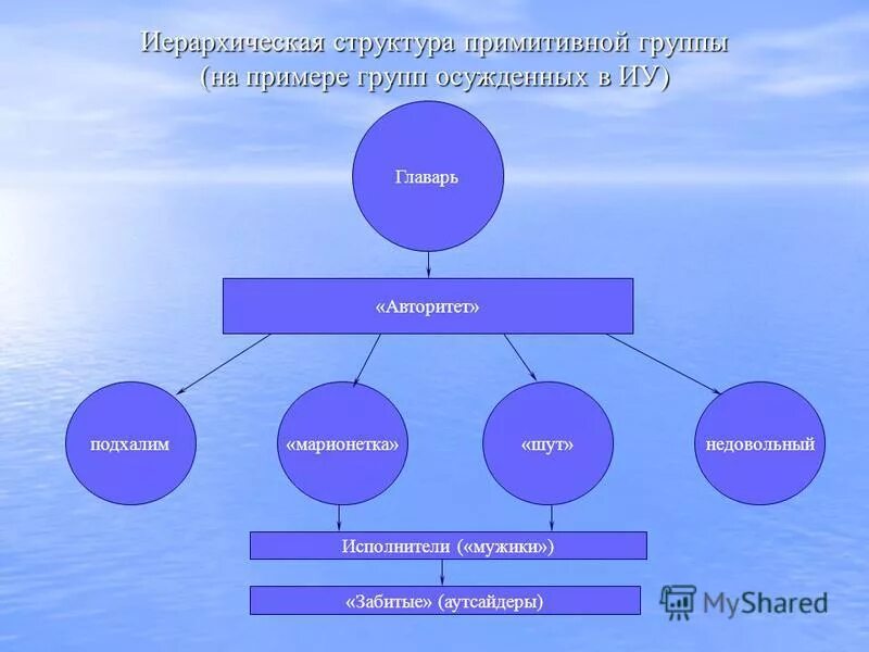 Структура группы лидера. Структура примитивной преступной группы. Структура преступного сообщества. Структура организованной преступной группы. Структура преступных групп схема.