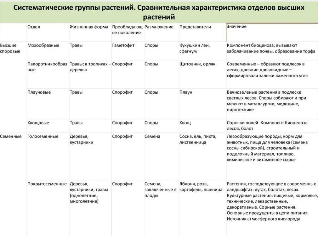 Характерные признаки представителей группы. Сравнительная характеристика отделов растений таблица. Таблица сравнительная характеристика отделов растений биология. Отделы высших споровых растений таблица. Сравнительная характеристика отделов споровых растений таблица.