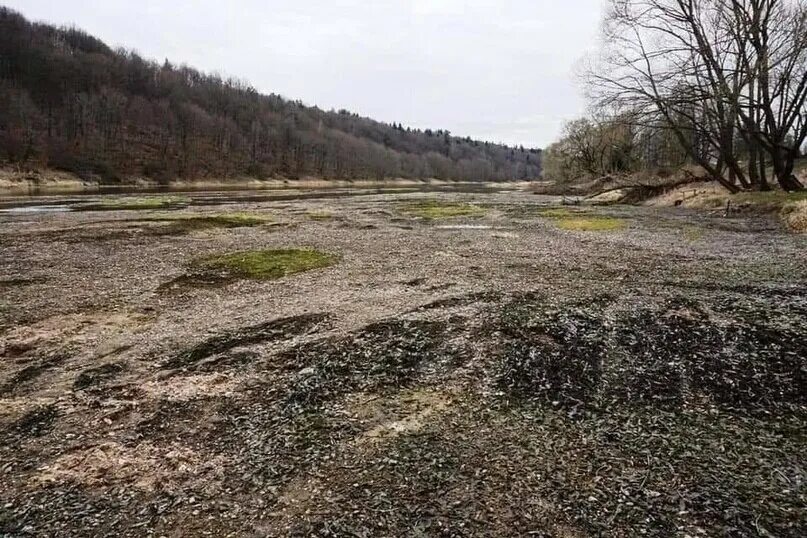 уровень москва реки в звенигороде