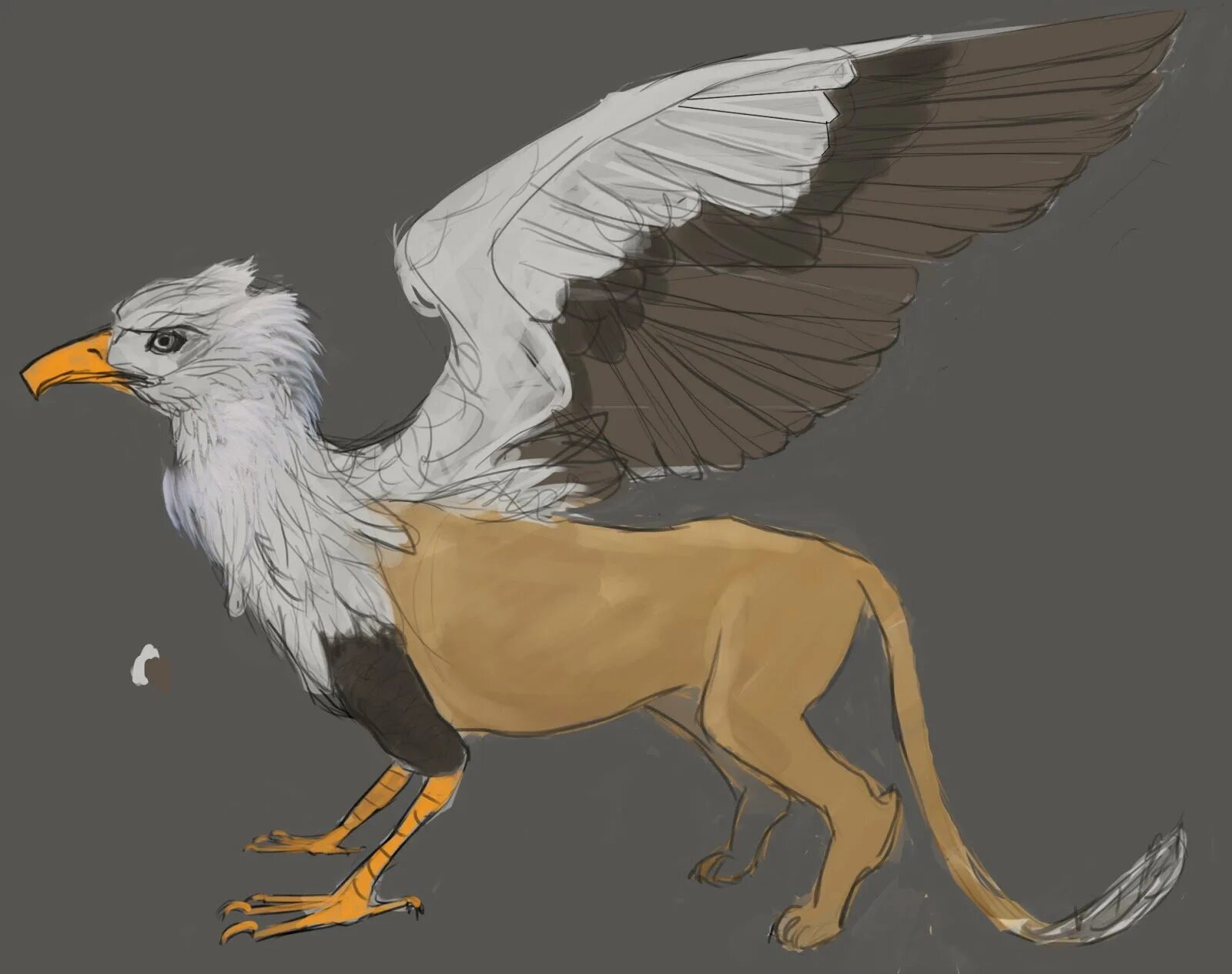 Кейсонг грифон. Аниме кентавр грифон. Имперский грифон. Гриффон. Виды грифонов.