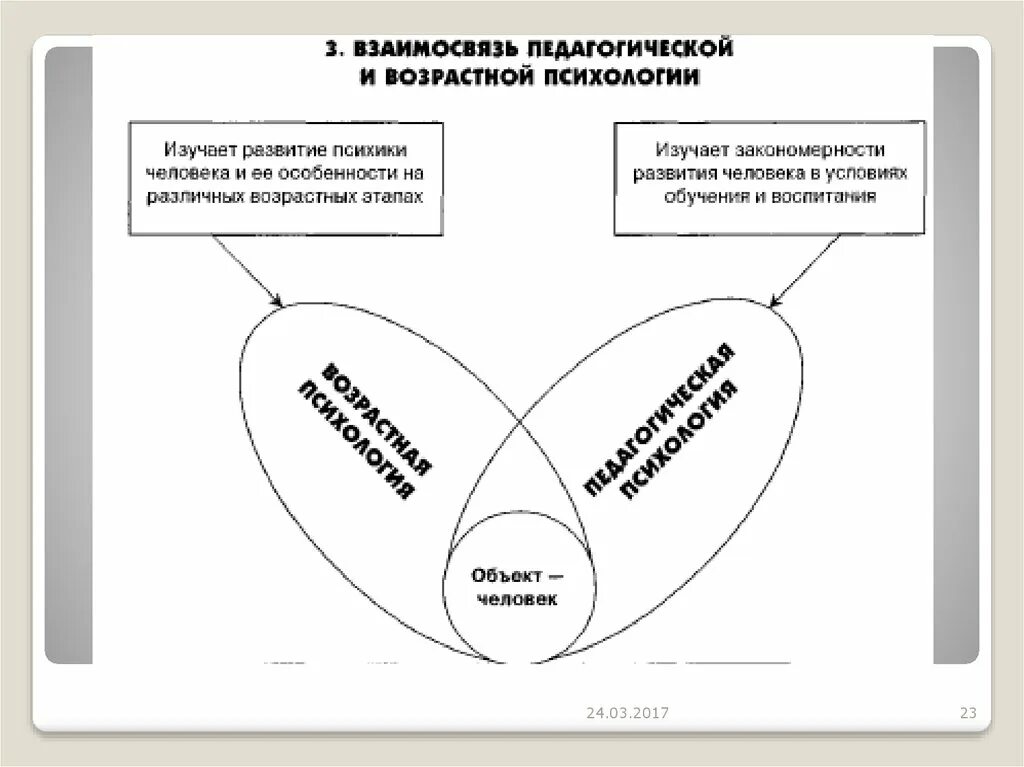 Взаимосвязь педагогики и психологии. Связь возрастной и педагогической психологии. Связь педагогической психологии с возрастной психологией. Взаимосвязь возрастной и педагогической психологии.