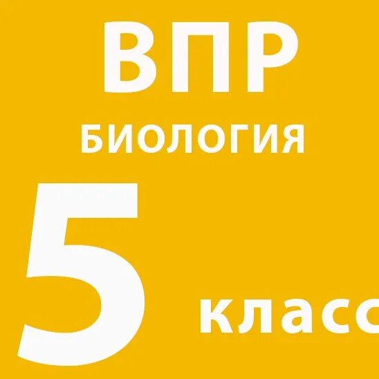 Контрольная работа 7 класс биология 2024. Контрольная работа 7 класс биология 2024