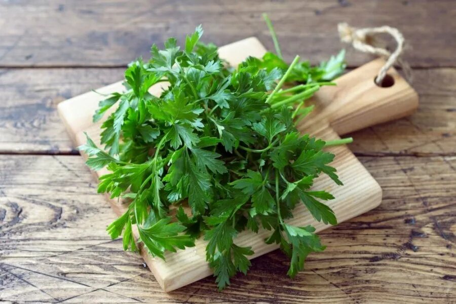 Петрушка в кулинарии. Петрушка parsley. петрушка растение. молдаванская петрушка. петрушка огородная.