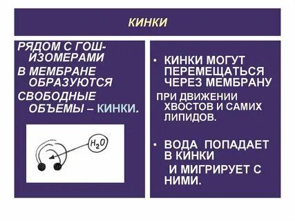 Кинки в мембране