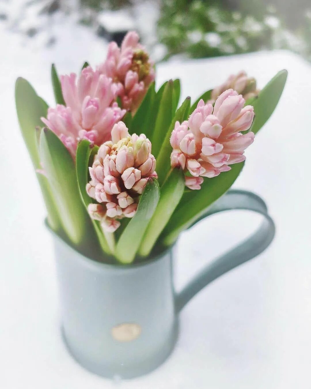 необычные весенние открытки с добрым утром. пожелания с добрым весенним утром. весенние композиции. необычные весенние открытки с добрым утром. открытки с добрым утром красивые.