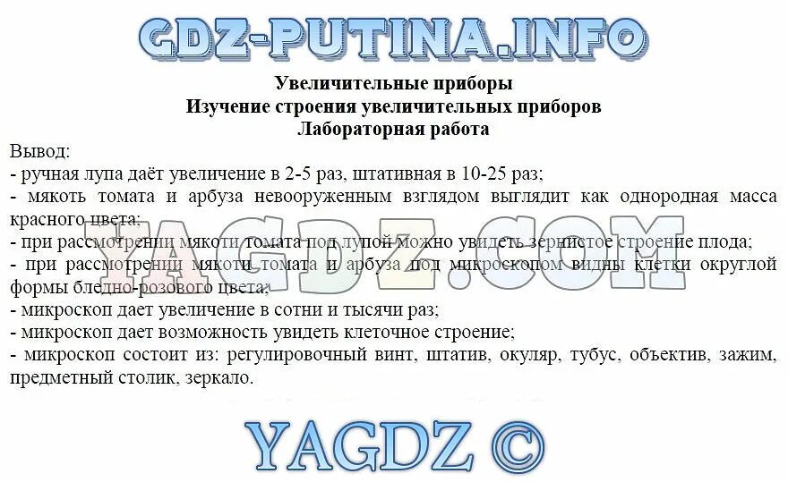 Лабораторная работа по биологии. Лабораторная работа изучение строения увеличительных приборов. Лабораторная работа изучение увеличительных приборов 5 класс. Лабораторная работа по биологии 5 класс увеличительные приборы вывод.