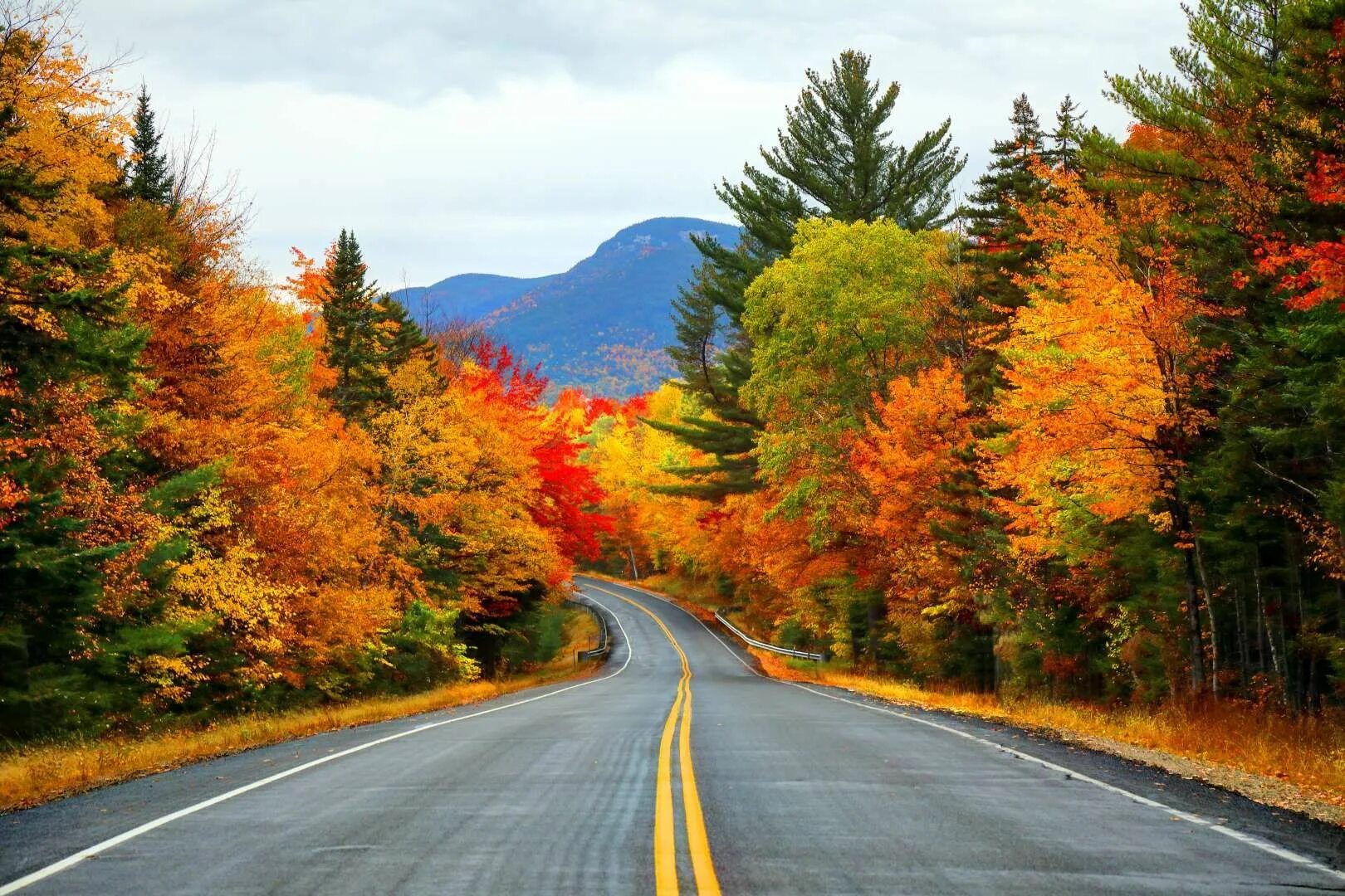 Fall scenes. Осенняя дорога. Осень в горах. Дорога в осень. Осенняя дорога в горах.