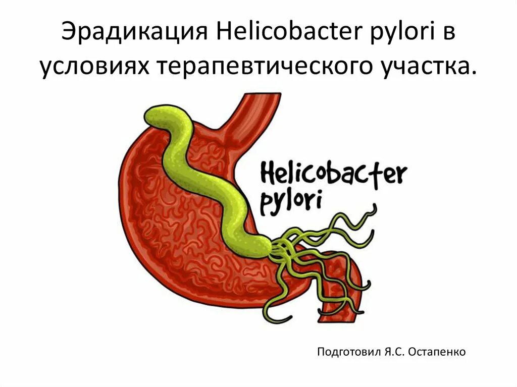 Лечение хеликобактер пилори после антибиотиков