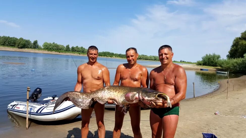 Рыбалка с проживанием волга. Река Ахтуба рыбалка. Харабали река Ахтуба. Рыболовная база на реке Ахтуба рыбалка. Рыбалка Ахтуба сом.