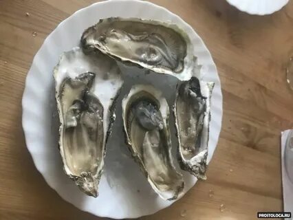 Вкус устриц