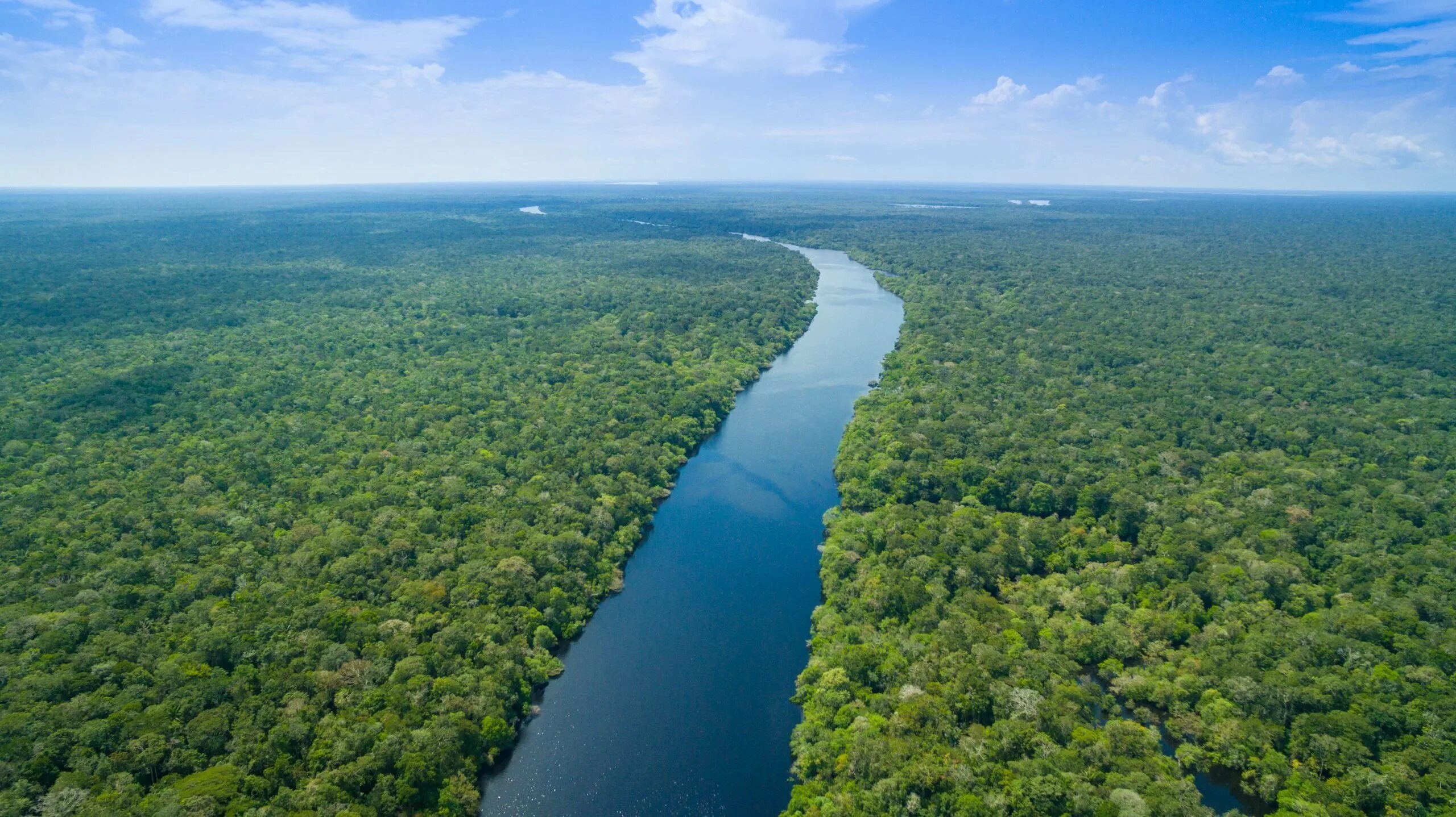 Какая река в юар. Нессере long river. the longest river in the world. the amazon is long river in the world. река png.