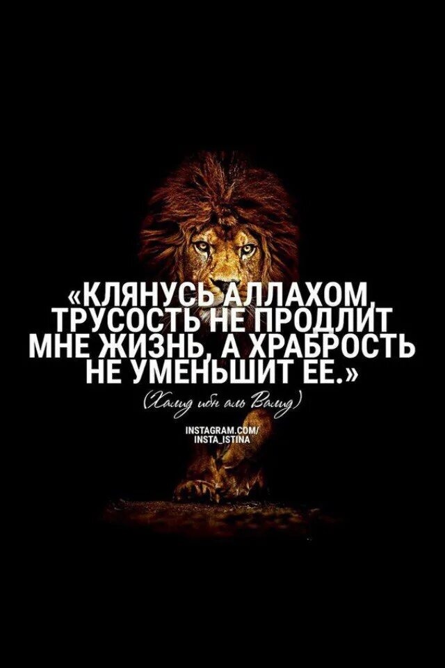 Трусость не продлит жизнь. Трусость не продлит мне жизнь а храбрость не. Клянусь Аллахом трусость не продлит. Клянусь Аллахом трусость не продлит мне жизнь а храбрость не уменьшит.