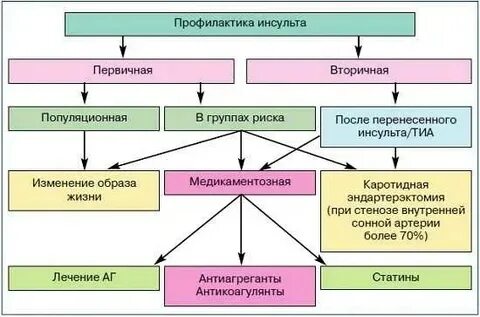 Профилактика ишемического инсульта