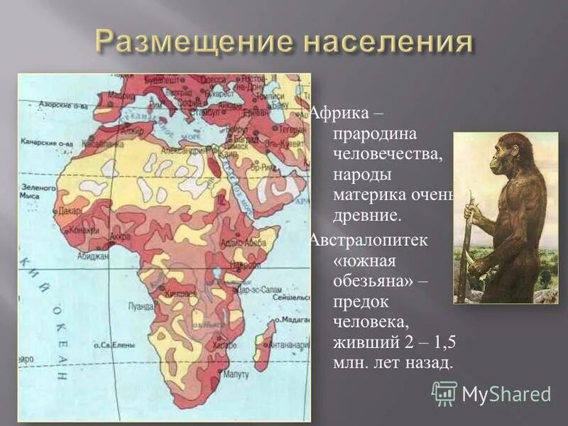 вывод о размещении населения. первый материк который заселили. территория и население северной америки презентация. народы заселяющие материк африка. материк африка население.