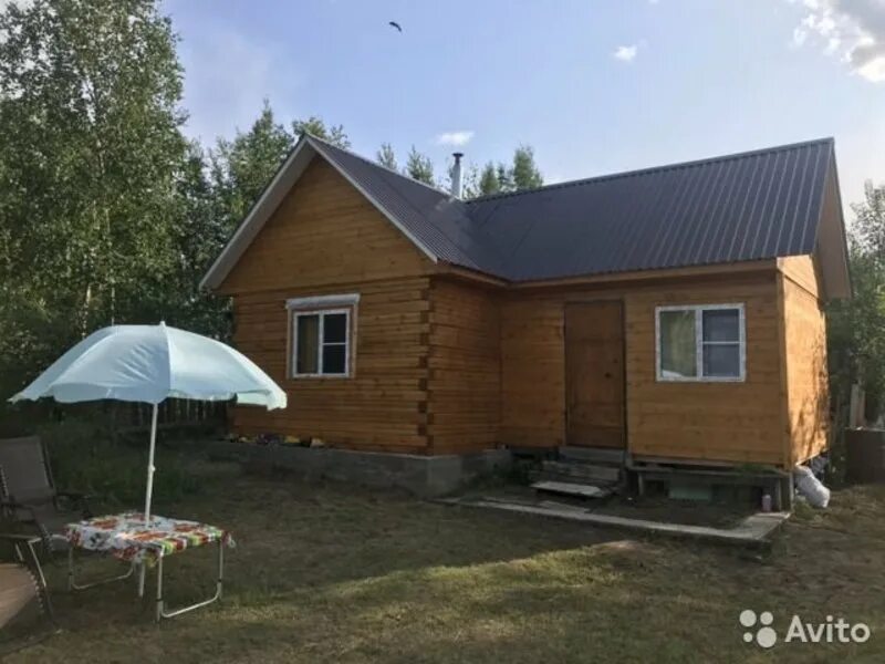 дача в чите. дача чита авито. дачный кооператив никишиха. дача чита авито. чита дачный домик.