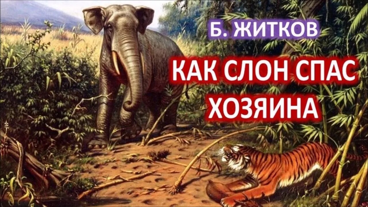 Как слон спас хозяина от тигра. Житков как слон спас хозяина от тигра. Как слон спас хозяина от тигра Житков книга. Как слон спас хозяина читать