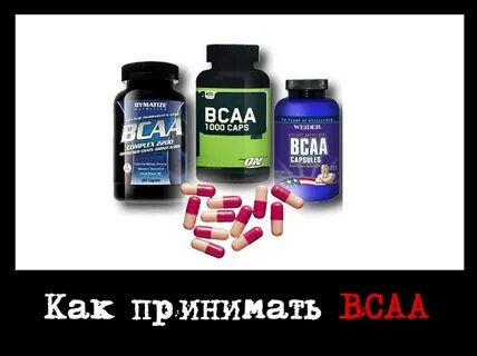 Для чего принимают bcaa