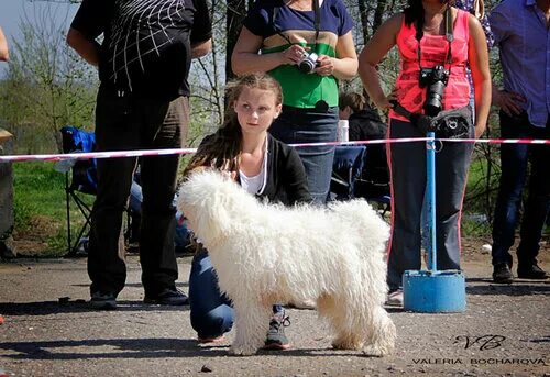Эксперт 13. Эксперт новый фильм 13 серия. Журнал эксперт обложка. Журнал эксперт обложка. См сериал эксперт.