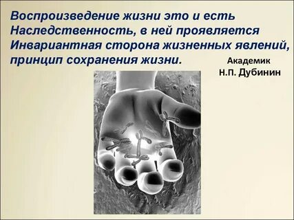 Воспроизведение жизни