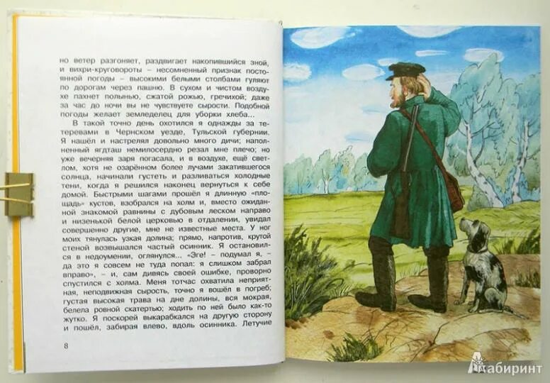 Заря потухла. Хрестоматия тургенева. иллюстрации к произведениям тургенева. вечерняя заря погасла. быстрыми шагами прошел я длинную площадь кустов взобрался на холм.