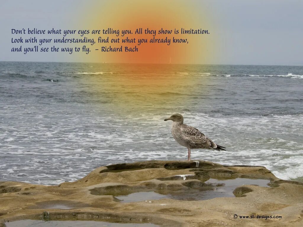 I didn t know that you already. Don’t believe what your eyes are telling you. all they show is limitation.