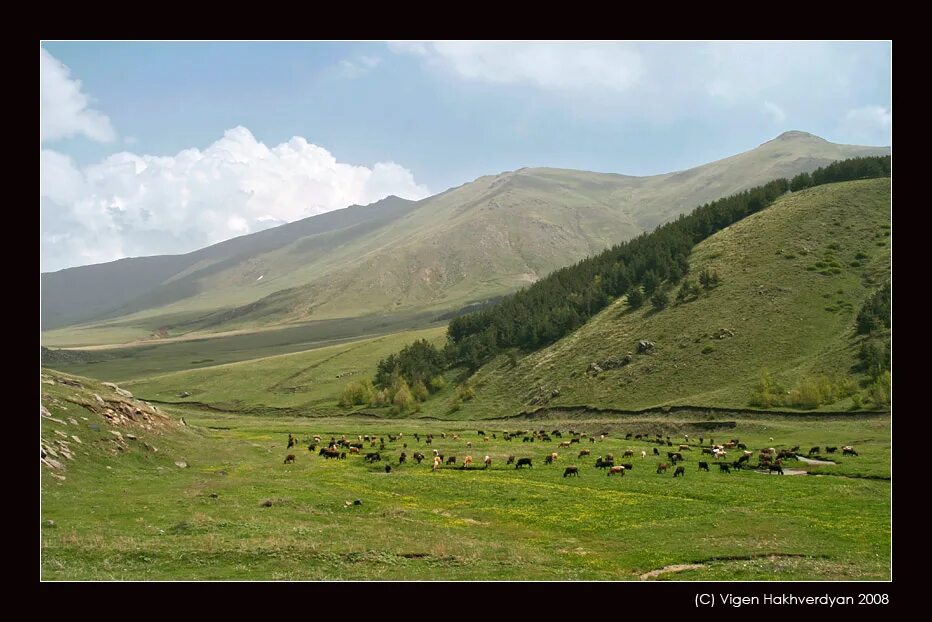 Кярки (село). Кярки Тигранашен. Луга Армении. Село Кярки фото.