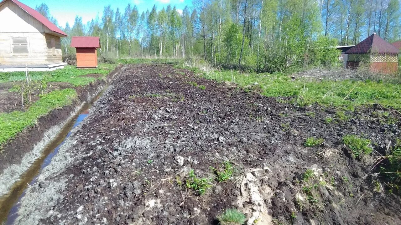 Погода в апраксине ленинградской на неделю