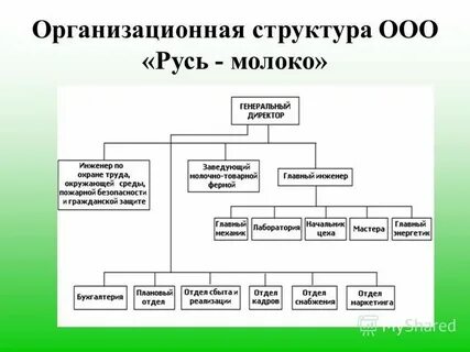 Организации оао