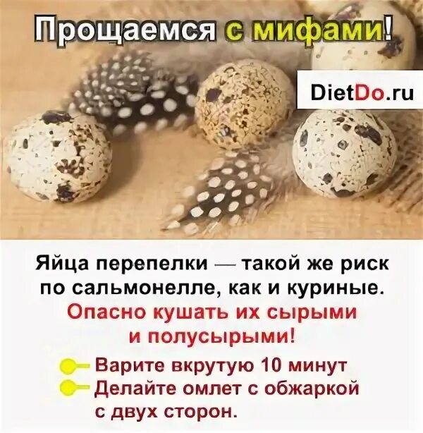 Перепелиные яйца польза. Полезны ли перепелиные яйца. Полезные свойства перепелиных яиц. Чем полезны перепелиные яйца. Яйца польза и вред для мужчин
