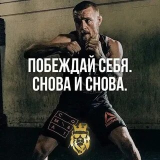 В чем есть победит