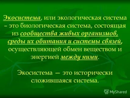 Экологическая система лекция