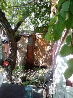 Снт любитель курск
