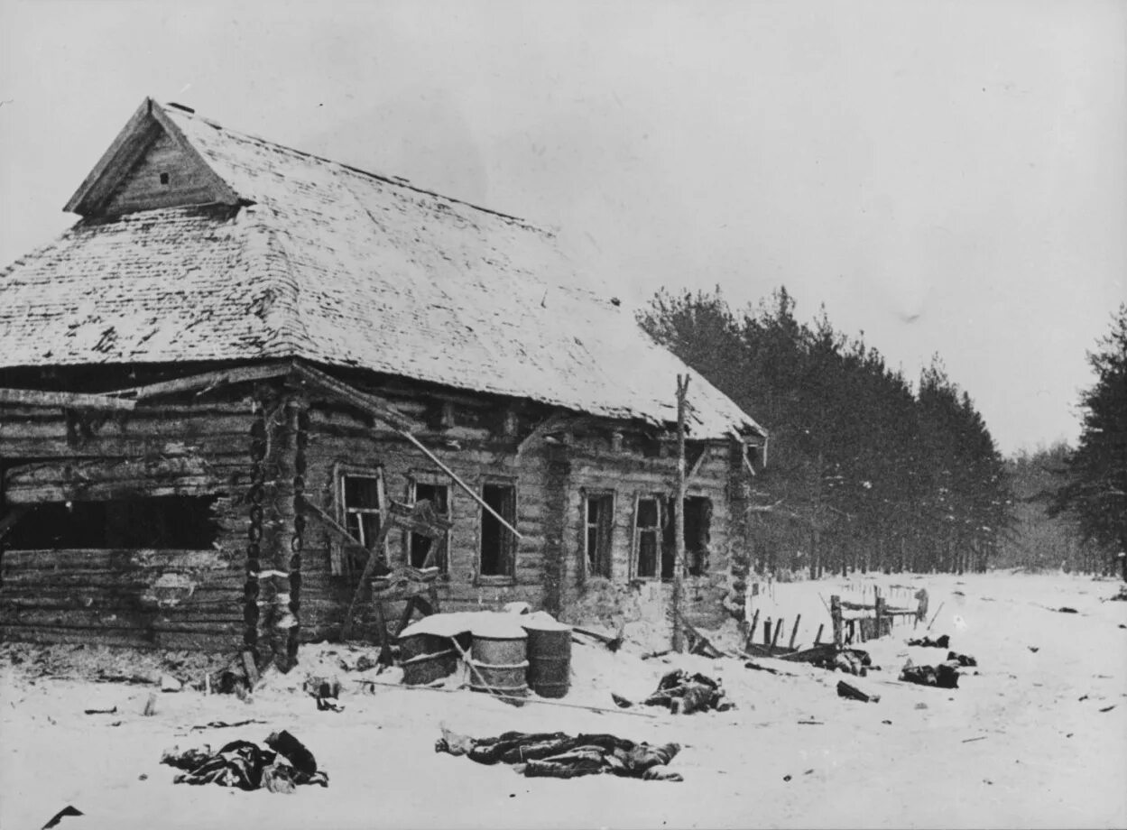 Мировая деревня