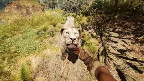 Системные требования far cry 5 на пк