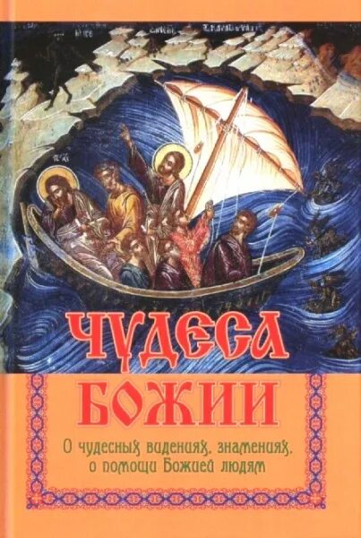 Великие чудеса божие. Великие чудеса божие. Спасение мусульманина богородицей. Божественное чудо. Книга о чудесах божьих с реальными людьми.